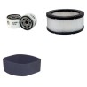 SAELEN TIGER 25 ER Filter Service Kit Air Oil Fuel Filters w/KOHLER/LOMBARDI  Eng.   YR  2015