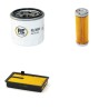 AIXAM 400 SLD Filter Service Kit w/KUBOTA Z482 Eng.