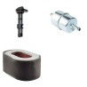 SDMO DX 6000 E/TE Filter Service Kit w/Yanmar L100Ae Eng.