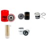 STEINBOCK 557 MK5B-2 BOSS 500 Filter Service Kit w/Ford 2722E Eng.