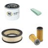 STIGA PARK PRO SVAN 4WD Filter Service Kit w/HONDA GXV530SXE2 Eng.