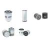 TCM FHD 30 T3 Filter Service Kit w/Kubota V3300 Eng.