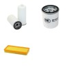 TECNOFRUIT CF 110 Filter Service Kit Air Oil Fuel Filters w/Lombardini LDW1404/B1 Eng.