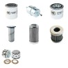 TEUPEN LEO 30 T Filter Service Kit w/Kubota D1005 Eng.