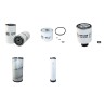 THWAITES AD 6 T Filter Service Kit Air Oil Fuel Filters w/Perkins  Eng.