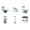 THWAITES AD 9 T Filter Service Kit w/Perkins 1932/2200 Eng.