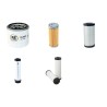 Filter Kit for Thwaites Mach203 with Yanmar 3Tnv76K engine 2011-