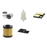 Timberwolf TW125 Wood Chipper Filter Service Kit w/ Honda GXV690 Engine
