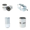Filter Kit for Toro Workman 3000 with Mitsubishi Engine HP 27 CH