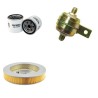 TOYOTA 42-2 FG 20 Filter Service Kit
