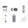 BOSCHUNG IMSSN E29050 DFS Filter Service Kit w/Kubota D1105EU2 Eng.