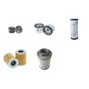 WACKER RT 82 SC Filter Service Kit w/Lombardini Eng.   YR  2005-