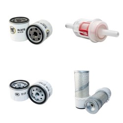 Filter kit for Wacker RT820RC/RT Air Oil Fuel Filters with Lombardini 12LD435-2 Engine