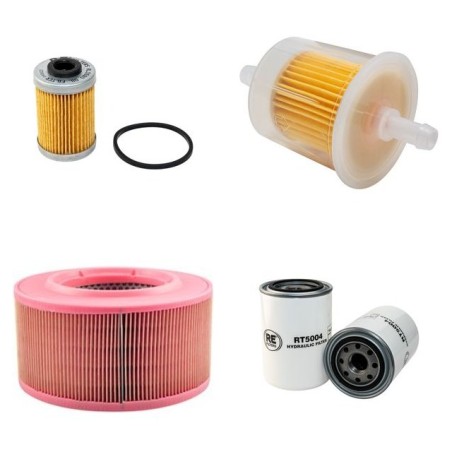 WEBER LS 10 Filter Service Kit w/Hatz 1D80 Eng.