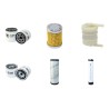 WEIDEMANN 1506 P33 Filter Service Kit Air Oil Fuel Filters w/Perkins  Eng.     33 CH