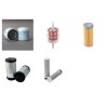 WETROK KERWIT A 80 D-2SB Filter Service Kit w/Kubota Z602-Es Eng.