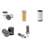 Filter Kit for Yanmar SV08-1A with Yanmar 2TE67LBV3 Engine Year 2015-