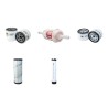 CAMISA TP 680/35 Filter Service Kit Air Oil Fuel Filters w/Lombardini LDW1404 Eng.     35 CG