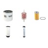 BUCHER MUNICIPAL CITY CAT 2000 Filter Service Kit Air Oil Fuel Filters w/Kubota F2803B Eng.