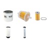 EUROVOIRIE CITY LAV 2000 Filter Service Kit Air Oil Fuel Filters w/Kubota F2803-B-1 Eng.