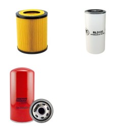 MAUGUIERE MAV 291/8 Compressor Filter Service Kit