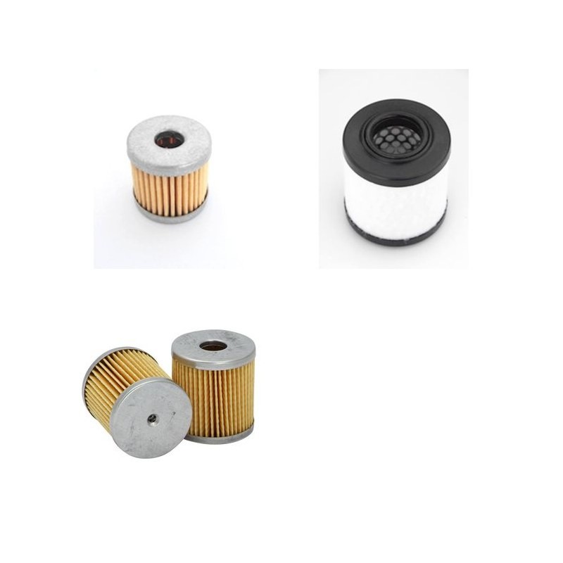 RIETSCHLE CLF 101 Filter Service Kit
