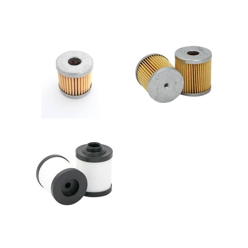 RIETSCHLE CLF 101 Filter Service Kit      YR  2001-