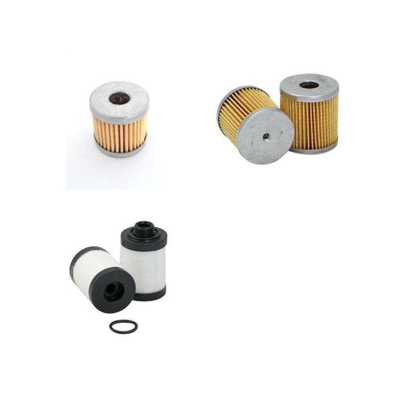 RIETSCHLE CLF 81 Filter Service Kit      YR  2001-