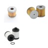 RIETSCHLE CLF 81 Filter Service Kit      YR  2001-