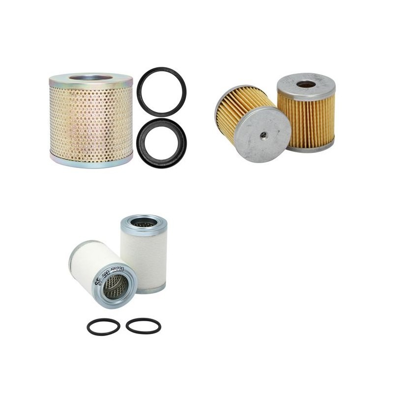 RIETSCHLE CLFD 141 Filter Service Kit