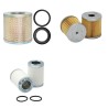 RIETSCHLE CLFD 141 Filter Service Kit