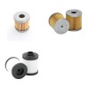 RIETSCHLE CLFE 101 Filter Service Kit      YR  2001-