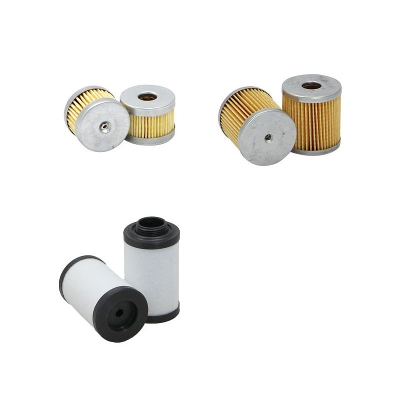 RIETSCHLE CLFE 141 Filter Service Kit      YR  2001-