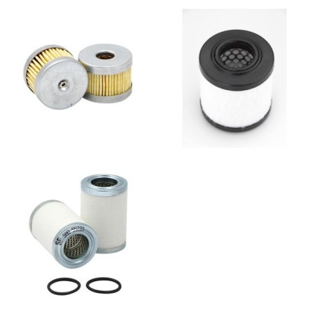 RIETSCHLE CLFE 341 Filter Service Kit