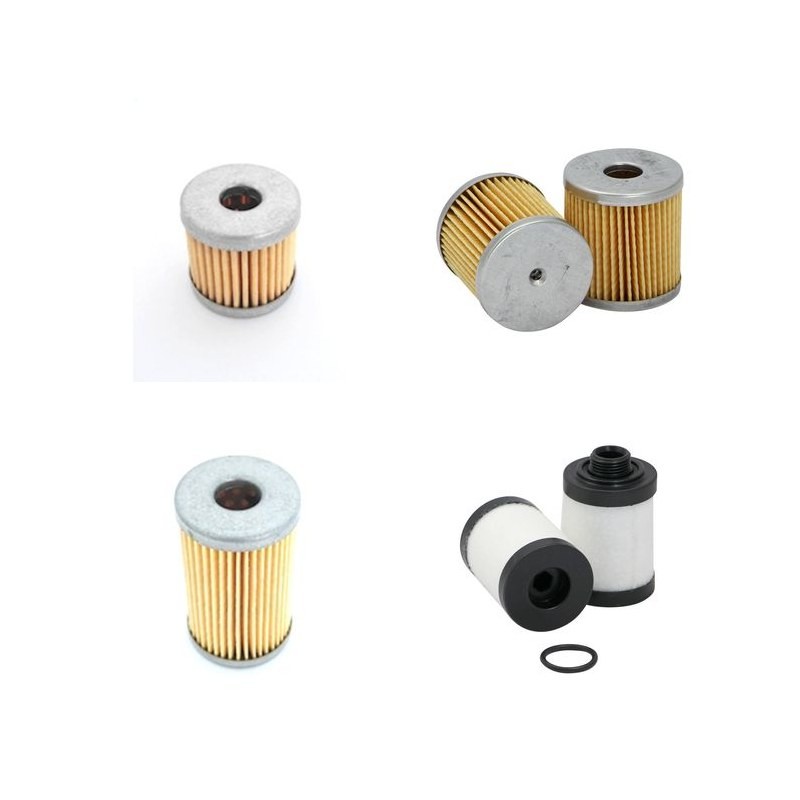 RIETSCHLE CLFE 81 Filter Service Kit      YR  2001-