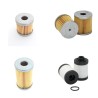 RIETSCHLE CLFE 81 Filter Service Kit      YR  2001-