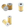 RIETSCHLE CLFT 100 Filter Service Kit