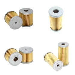RIETSCHLE CLFT 141 DV Filter Service Kit