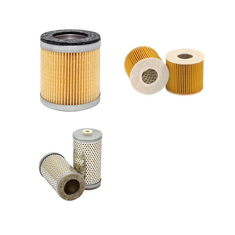 RIETSCHLE DT 3.6/08 Filter Service Kit