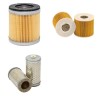 RIETSCHLE DT 3.6/08 Filter Service Kit