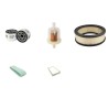 TASKI BALIMAT 140 T Filter Service Kit w/BRIGGS + STRATTON VANGUARD 18HP Eng.     18 CH