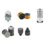 AMMANN ARW 65 Filter Service Kit w/HATZ 1B40T-X Eng.   YR  2013-