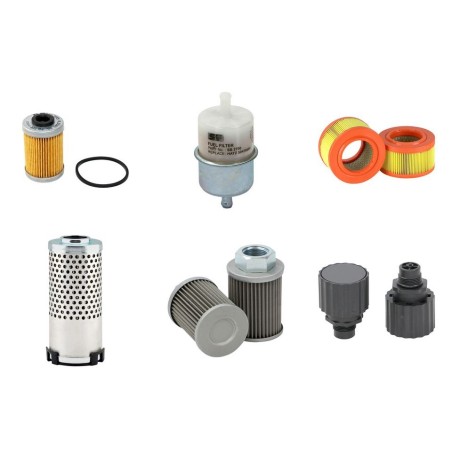AMMANN ARW 65 Filter Service Kit w/HATZ 1D42S Eng.