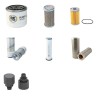 AMMANN AV 23 (E)(K) Filter Service Kit w/Yanmar 3TNE88AMM Eng.