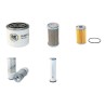 AMMANN AV 23 (E)(K) Filter Service Kit Air Oil Fuel Filters w/Yanmar 3TNE88AMM Eng.