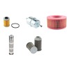 AMMANN AVH 8020 DE Filter Service Kit w/HATZ 1D81S Eng.