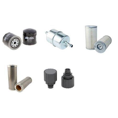 AMMANN DTV 113 Filter Service Kit withHatz 2G40 Eng