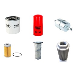 AMMANN RW 2900 FHF Filter Service Kit w/Kubota D1703 Eng.