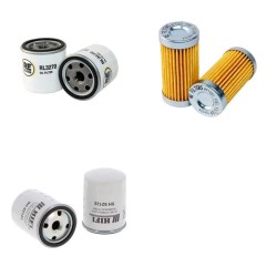 CASE DX 33 Filter Service Kit w/SHIBAURA  Eng.