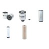 AUSA 350 H 6 Dumper Filter Service Kit withKubota V 2203E Eng
